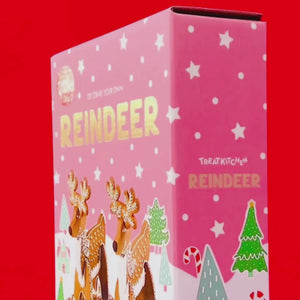 
                
                    Load and play video in Gallery viewer, Gingerbread Reindeer Decoration Kit
                
            